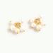 J. Crew Jewelry | Jcrew Freshwater Pearl Drop Earrings Nwt Pearl | Color: Gold/White | Size: Os