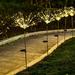 The Holiday Aisle® Firework LED Landscape Flower Solar String Lights, Copper in White | 28.5 H x 5 W x 5 D in | Wayfair