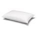 The Twillery Co.® Oakham Goose Down Firm Support Pillow Down & Feathers/100% Cotton | 20 H x 26 W in | Wayfair 59E2A476725145178E7F13404F1FE8BD