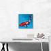 ARTCANVAS Kohaku Koi Carp Fish Japan China Asia - Wrapped Canvas Painting Print Canvas, Wood in Blue/Red | 12 H x 12 W x 0.75 D in | Wayfair