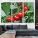 ARTCANVAS Tomato Plant Diner Restaurant Decor - 3 Piece Wrapped Canvas Photograph Print Set Canvas in Green/Red | 60 H x 90 W x 1.5 D in | Wayfair