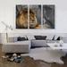 ARTCANVAS Lion Resting Under the Tree - 3 Piece Wrapped Canvas Print Set Metal in Gray/Yellow | 40 H x 60 W x 0.75 D in | Wayfair ACIDES56-3S-60x40
