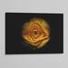 Ebern Designs Backyard Flowers 74 by Brian Carson - Photograph Print Canvas, Latex in Black/Yellow | 18 H x 27 W x 1.5 D in | Wayfair