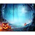 Haosphoto Halloween Horror Night Backdrop 10X8FT Scary Pumpkin Lamp Vinyl Backdrops Grimace Bats Jungle Forest Trees Photography Background for Masquerade and Costume Party Photo Studio Props HS270