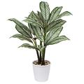 Briful 24.8" Tall Artificial Plants 63CM Large Artificial Calathea Fake Plants House Plant Ornata Sanderiana Decorative Artificial Plants for Bedroom Bathroom Home Office Decor