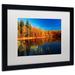 Millwood Pines Call of the Wild by Philippe Sainte-Laudy - Picture Frame Photograph Print on Canvas Canvas | 16 H x 20 W x 0.5 D in | Wayfair