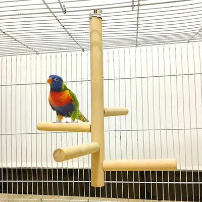 Perchoir en bois pour perroquet jouets pour oiseaux support de perroquet balançoire échelle de
