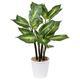 Briful 24.8" Large Artificial Plants 63CM Tall Fake Plants Dieffenbachia Camille Plant Decorative Artificial Plants Outdoor Faux Plants Indoor Plant for Office Home Garden Decor