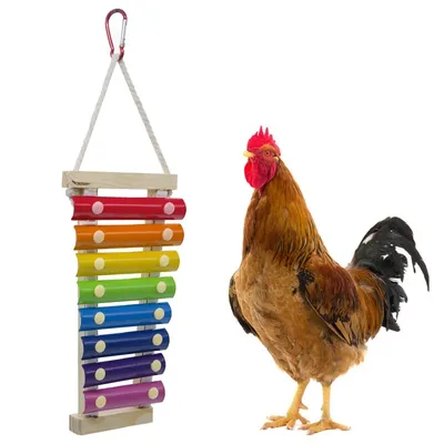 Jouet intelligent de ULde perroquet d'oiseau jouet de xylophone jetable pour les poules jouet à