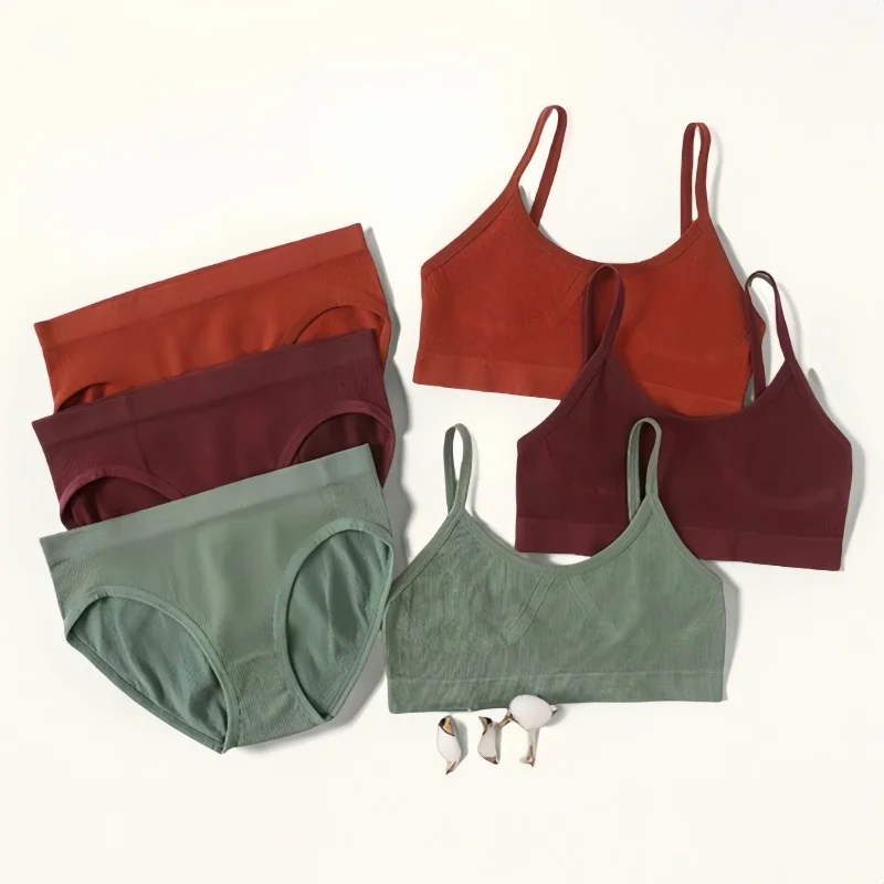Soutien-gorge sans couture pour femmes, ensemble de slips, soutien-gorge push-up, haut sexy, lingerie féminine, haut court en U, soutien-gorge, ensemble de sous-vêtements