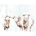 August Grove® Watercolor Rams Print On Canvas in Brown/White | 8 H x 12 W x 1.25 D in | Wayfair 33B02B861E664D86B3544A16F8452960