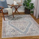 Finglas 6'7" x 9' Traditional Traditional Persian Blue/Burgundy/Cream/Light Blue/Light Gray/Light Olive/Medium Gray/Olive Area Rug - Hauteloom