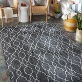 Naco 5'3" x 7'3" Traditional Charcoal/Cream Outdoor Area Rug - Hauteloom