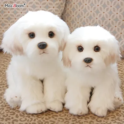 Chiot en peluche maltais blanc pour enfants chien en peluche mignon simulation d'animal de