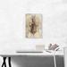 ARTCANVAS Anatomical Study 1510 by Leonardo Da Vinci - Wrapped Canvas Painting Print Canvas | 18 H x 12 W x 0.75 D in | Wayfair DAVINC2-1S-18x12