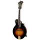 The Loar LM-700 F-Mandolin VS