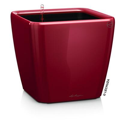 Quadro Premium ls 28 Komplettset scarlet rot hochglanz - Lechuza Image