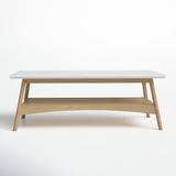 AllModern Soho 4 Legs Coffee Table w/ Storage Wood in Brown | 17 H x 48 W x 24 D in | Wayfair 287FC683B4BF418F967F6E423EFC061E