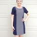 J. Crew Dresses | J Crew Navy Stripe Knit Shift Dress S (D4) | Color: Blue/White | Size: 6