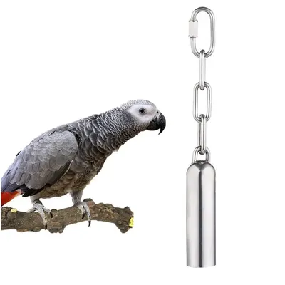 Jouet cloche en acier inoxydable pour oiseaux jouets RapDuty Bird Jos pour perroquets Greile