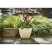 Southern Patio® Newland Square Resin Pot Planter Resin/Plastic in White | 13.5 H x 16 W x 16 D in | Wayfair HDR-012184