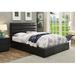 Ebern Designs Irmo Vegan Leather Storage Bed Upholstered/Faux leather in Black | 48 H in | Wayfair D2CDC90643EB4BE79FAD097E37CD0FC4