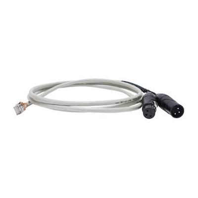 Hollyland Ethernet to Dual XLR Cable for Cascading Hollyland Intercom Systems (6.6') HL-ETHERNET TO XLR CABLE