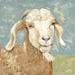 August Grove® Farm Life-Brown Goat by Jade Reynolds Painting Print on Canvas Canvas, in Blue/Brown/Green | 37.125 H x 37.125 W x 1.125 D in | Wayfair