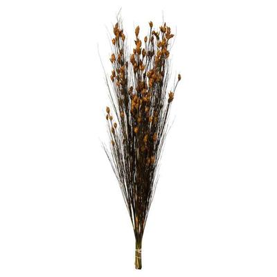 Vickerman 648551 - 36-40" Bell Grass w/Aspen Gold Pod (H1BFL725) Dried and Preserved Grass