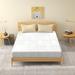 Queen Medium 12" Gel/Foam Mattress - Alwyn Home Dooley Gel Memory Foam | 60 H x 80 W 12 D in Wayfair 4A259B8933634BB0A005981F3DF68A2F