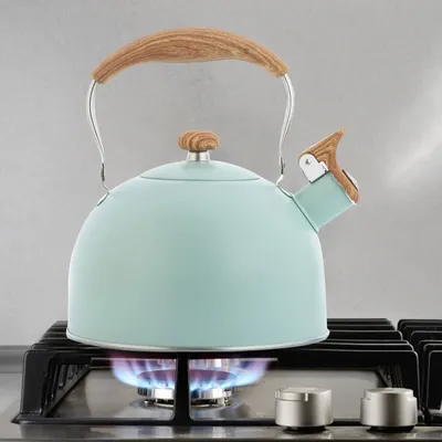 Bouilloire à thé en acier inoxydable 2 5 l théière de qualité alimentaire pour faire bouillir le