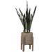 Loon Peak® Mother In Law Tounge Plant in Wood Planter Wood in Brown | 36 H x 15 W x 15 D in | Wayfair 82E1FDC6187C40D99273A712FB78E629