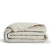 Birch Lane™ Fielder Natural/Single Quilt Linen in White | King Quilt | Wayfair FCDD5CBA14214E7898ED54C2CA04A0E6