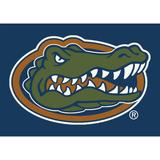 Imperial Florida Gators 7'8'' x 10'9'' Spirit Rug