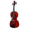 Roth & Junius Europe Antiqued Violin Set 4/4