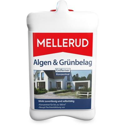 Algen & Grünbelag Entferner Konzentrat 2,5 l