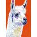 Ebern Designs Animal Party IV Painting Print on Canvas Canvas, Wood in Blue/Red | 49.63 H x 33.63 W x 1 D in | Wayfair