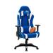 Latitude Run® High Back Ergonomic Mesh Gaming Chair Mesh in Blue/White | 50 H x 29 W x 27 D in | Wayfair 21986E0A3D2A43A8AA75CCECB4848A3E