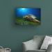 Bay Isle Home™ Green Turtle by Barathieu Gabriel - Wrapped Canvas Photograph Print Canvas in Blue/Brown/Green | 12 H x 19 W x 2 D in | Wayfair