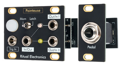 Ritual Electronics Pointeuse