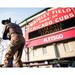 Chicago Cubs Unsigned Wrigley Field Front Entrance Photograph