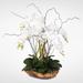 White Real Touch Phalaenopsis Silk Orchid Arrangement in a Natural Teak Bowl