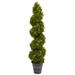 Boxwood Spiral Indoor/Outdoor Topiary with Planter - Green
