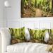 Designart 'Rainforest Panorama Landscape' Photography Throw Pillow