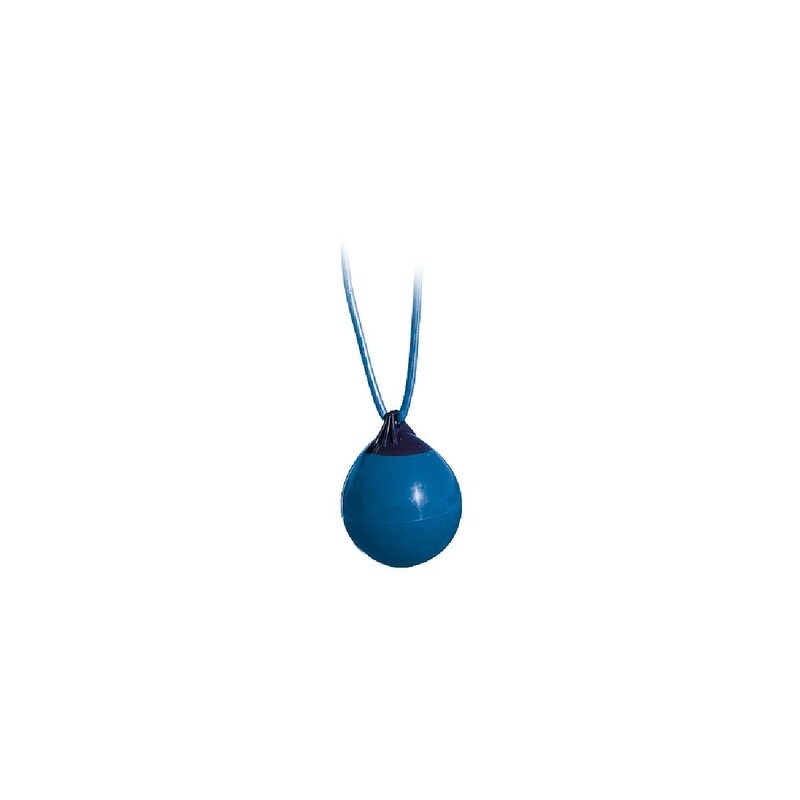 Buoy Ball Swing