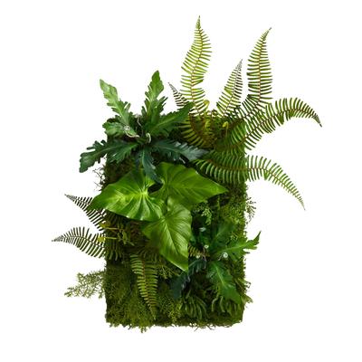 24" x 16" Mixed Foliage Artificial Living Wall - 6"