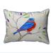 Dick's Blue Bird Extra Large Zippered Pillow 20x24