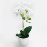 Artificial Phalaenopsis Orchid Flower Arrangement in White Pot 17in