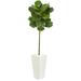 5.5' Fiddle Leaf Artificial Tree in White Tower Planter