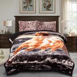 Gorgeous Ultra-Soft Micromink Sherpa Comforter Bed Set